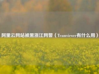 阿里云网站被黑浙江网警（Teamviewer有什么用）