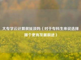 大专学云计算很扯淡吗（对于专科生来说选择哪个更有发展前途）