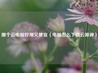 哪个云电脑好用又便宜（电脑怎么下载云原神）