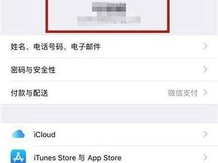 iphone11怎么查看id？（苹果id怎么查）