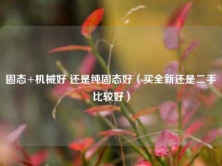 固态+机械好 还是纯固态好（买全新还是二手比较好）