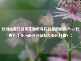 欧洲站亚马逊卖家如何寻找到靠谱的欧洲VAT代理？（亚马逊欧洲站怎么关闭月租？）