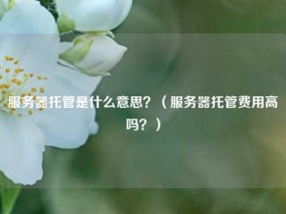 服务器托管是什么意思？（服务器托管费用高吗？）