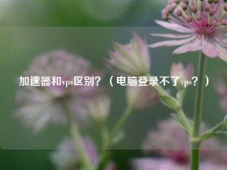 加速器和vps区别？（电脑登录不了vps？）