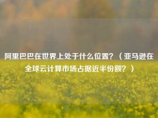 阿里巴巴在世界上处于什么位置？（亚马逊在全球云计算市场占据近半份额？）