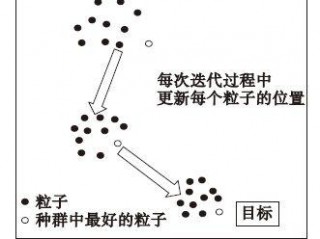 粒子群算法属于哪一类？（粒子群设置，粒子群算法中影响每个粒子的参数有哪些）