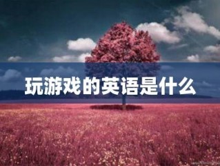 玩游戏怎么写?（玩游戏怎么写英语)