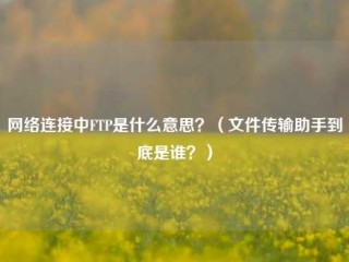 网络连接中FTP是什么意思？（文件传输助手到底是谁？）