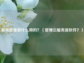 服务器是做什么用的？(管理云服务器软件？)