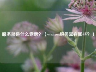 服务器是什么意思？(Windows服务器有哪些？)