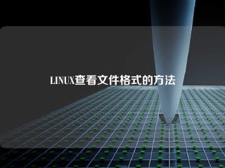 LINUX查看文件格式的方法