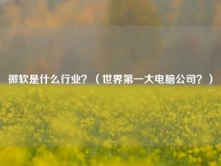 微软是什么行业？（世界第一大电脑公司？）